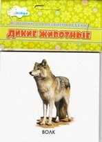 Обложка книги «Дикие животные. Учебные карточки», ISBN 4607929332623
