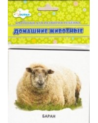 Домашние животные. Учебные карточки