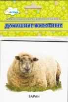 Обложка книги «Домашние животные. Учебные карточки», ISBN 4607929332630