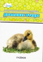 Обложка книги «Домашние птицы: мамы и дети. Учебные карточки», ISBN 4607929332647