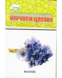 Изучаем цветы. Учебные карточки