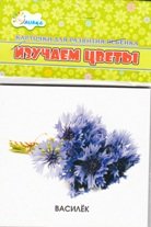 Обложка книги «Изучаем цветы. Учебные карточки», ISBN 4607929332715