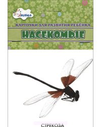 Насекомые. Учебные карточки