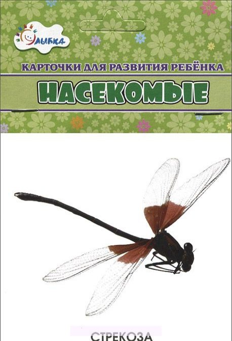 Обложка книги «Насекомые. Учебные карточки», ISBN 4607929332661