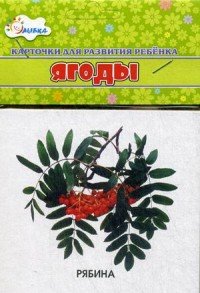 Обложка книги «Ягоды. Учебные карточки», ISBN 4607929332593