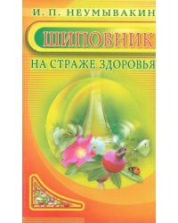 Шиповник: на страже здоровья