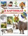 Энциклопедия в картинках