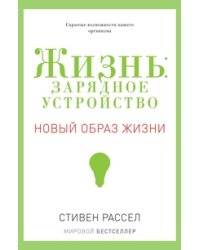 Жизнь: зарядное устройство