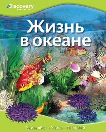 Жизнь в океане