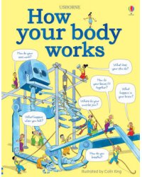 How Your Body Works