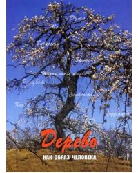 Дерево как образ человека