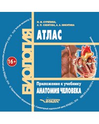 Анатомия человека. Учебник + Атлас на CD для вузов (+ CD-ROM)