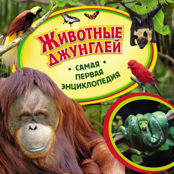 Животные джунглей. Самая первая энциклопедия