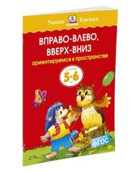 Вправо-влево, вверх-вниз. Ориентируемся в пространстве