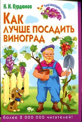 Как лучше посадить виноград