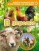 Лучшая энциклопедия в картинках для малышей "В деревне"