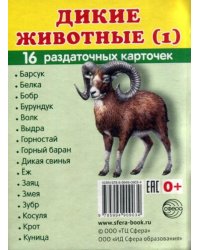 Раздаточные карточки "Дикие животные -1" (16 карточек)
