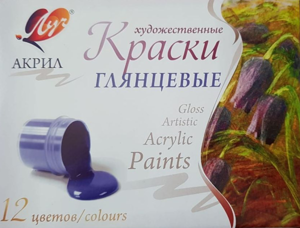 Краски акриловые, глянцевые, художественные (12 цветов)