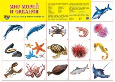 Познавательное и речевое развитие Демонстрационный плакат. Мир морей и океанов