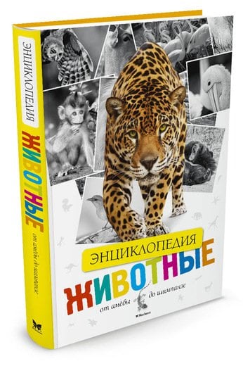 Энциклопедия животных. От амёбы до шимпанзе