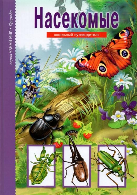 Насекомые