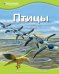 Птицы