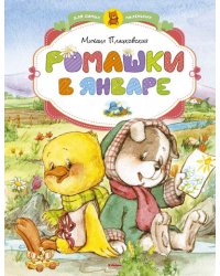Ромашки в январе