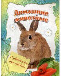 Домашние животные