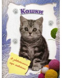 Кошки