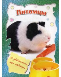 Питомцы