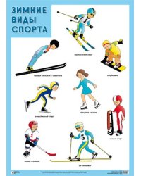 Плакат. Зимние виды спорта