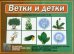 Обложка книги «Развивающая игра "Ветки и детки "»