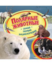 Полярные животные. Самая первая энциклопедия