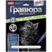 Гравюра с металлическим эффектом серебра "Котенок мейн-кун"