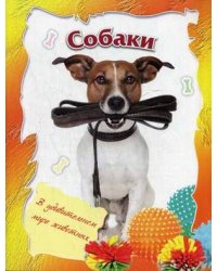 Собаки