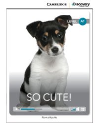 So Cute + Online Access