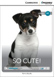 So Cute + Online Access