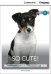 So Cute + Online Access
