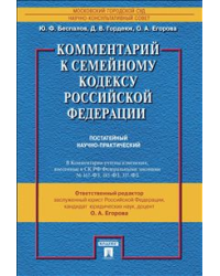 Комментарий к Семейному кодексу Российской Федерации (постатейный научно-практический)