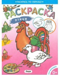 Птицы. Раскраска
