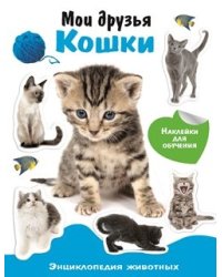 Мои друзья кошки