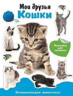 Мои друзья кошки