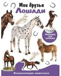 Мои друзья лошади