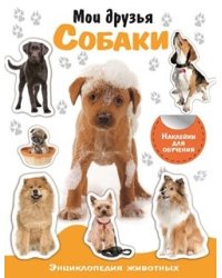 Мои друзья собаки