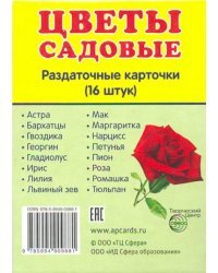 Раздаточные карточки &quot;Цветы садовые&quot; (16 карточек)