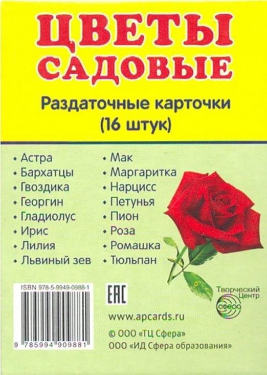 Раздаточные карточки "Цветы садовые" (16 карточек) Раздаточные карточки "Цветы садовые" (16 карточек)