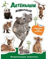 Энциклопедия животных с наклейками. Детеныши животных