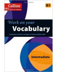 Vocabulary. B1