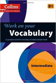 Vocabulary. B1