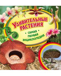 Удивительные растения